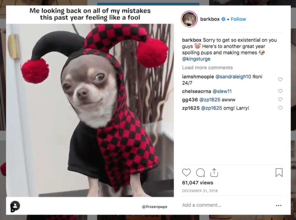 BarkBox sharing a post of a dog in a costume on Instagram